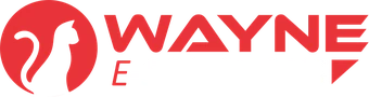 Wayne E Solutions
