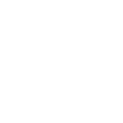 Wayne E Solutions logo mark